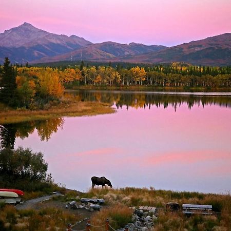 Denali Lakeview Inn هيلي المظهر الخارجي الصورة