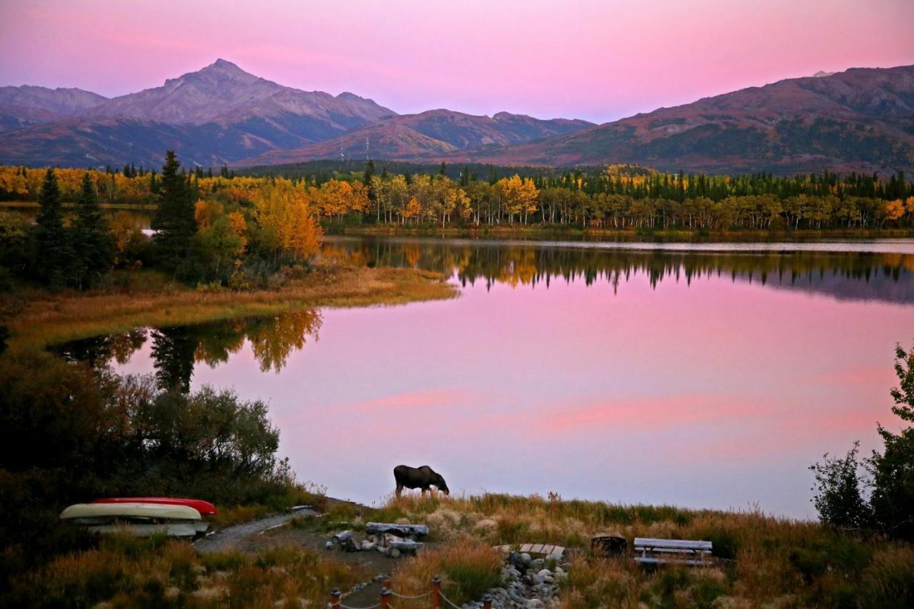 Denali Lakeview Inn هيلي المظهر الخارجي الصورة